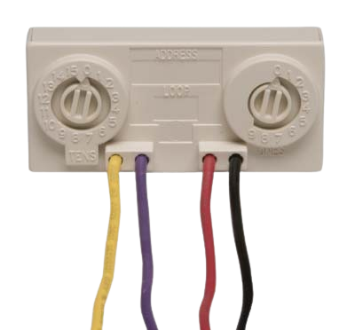 MMF-301